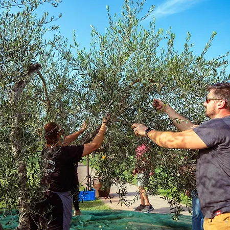 Farm stay Pompilia